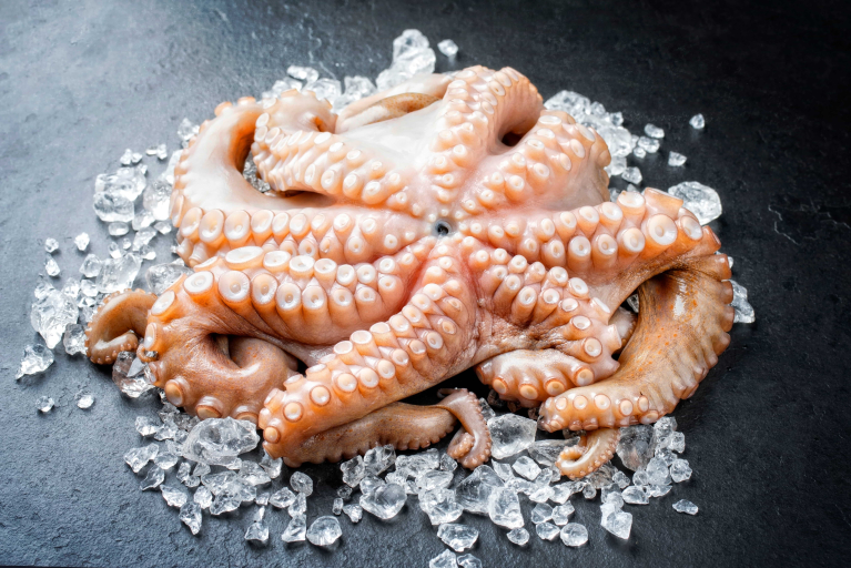 Oktopus ganz